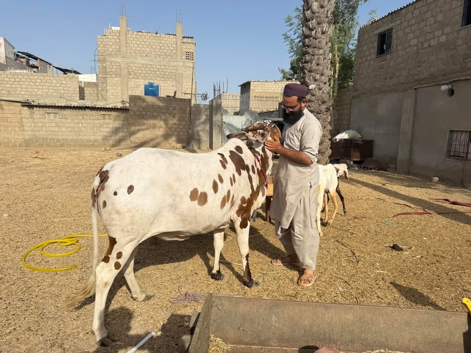 Waliullah Maroof